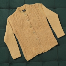 Ladies’ Sweater Round neck Light Golden colour