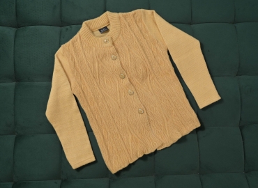 Ladies’ Sweater Round neck Light Golden colour