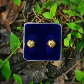 Jaira Gold Earring