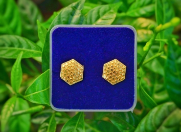 Jaira Gold Earring